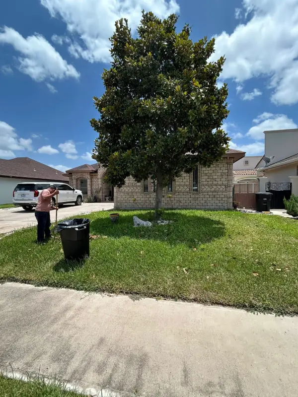 Professional Landscape Services