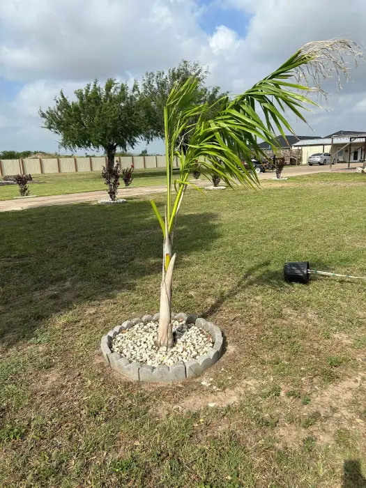 Reliable Landscape Services